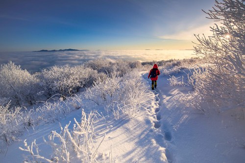 太白山國立公園雪景